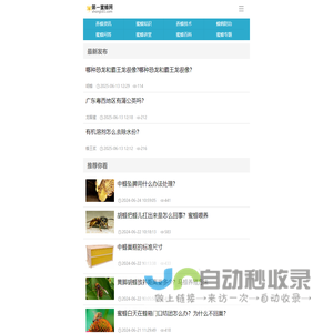 找素材-提供精美PPT模板,简历模板,设计模板,高清图片下载网站|维开软件找素材网